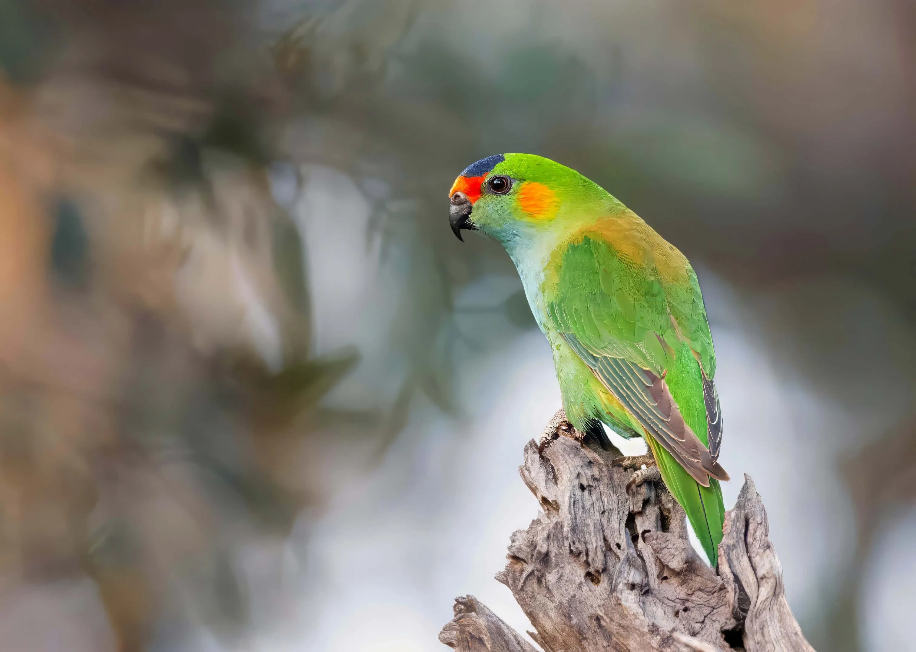 Overall Clarity Enhancement after